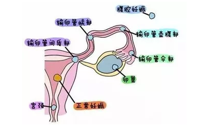 重慶送子鳥醫(yī)院