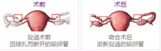 重慶送子鳥醫(yī)院