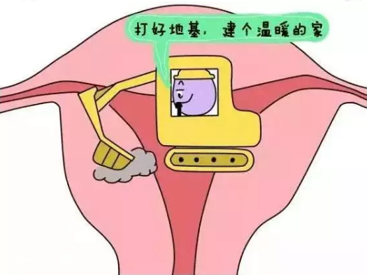 重慶送子鳥(niǎo)醫(yī)院