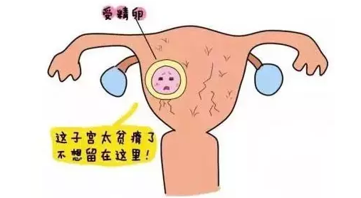 重慶送子鳥(niǎo)醫(yī)院