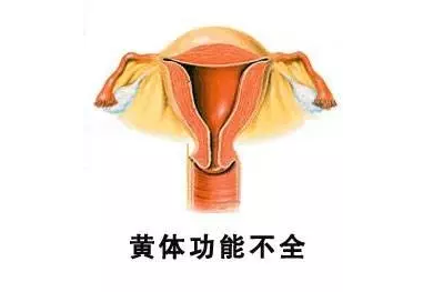重慶送子鳥醫(yī)院