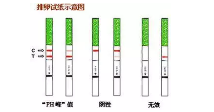 重慶送子鳥(niǎo)醫(yī)院