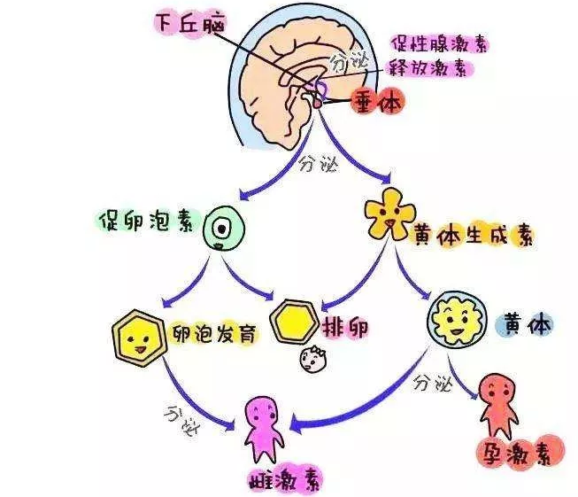 重慶送子鳥醫(yī)院