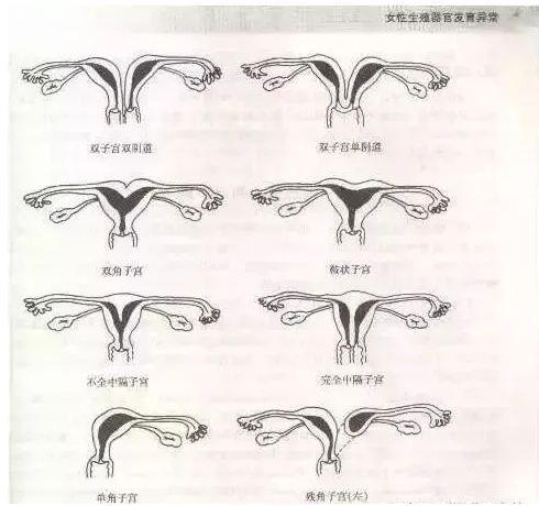 重慶送子鳥(niǎo)醫(yī)院