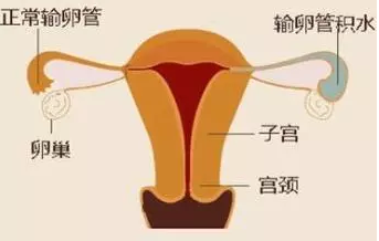 重慶送子鳥醫(yī)院