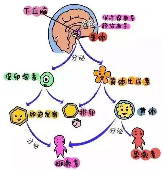 重慶送子鳥醫(yī)院