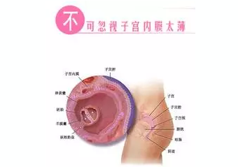 重慶送子鳥(niǎo)醫(yī)院