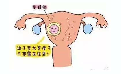 重慶送子鳥(niǎo)醫(yī)院