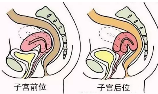 重慶送子鳥(niǎo)醫(yī)院