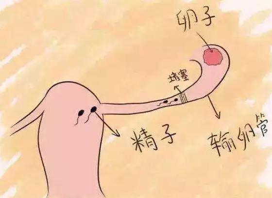 重慶送子鳥(niǎo)醫(yī)院