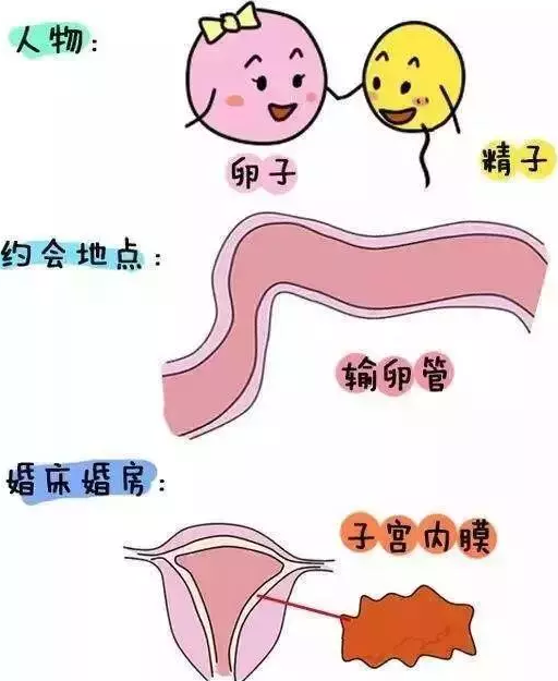 重慶送子鳥醫(yī)院