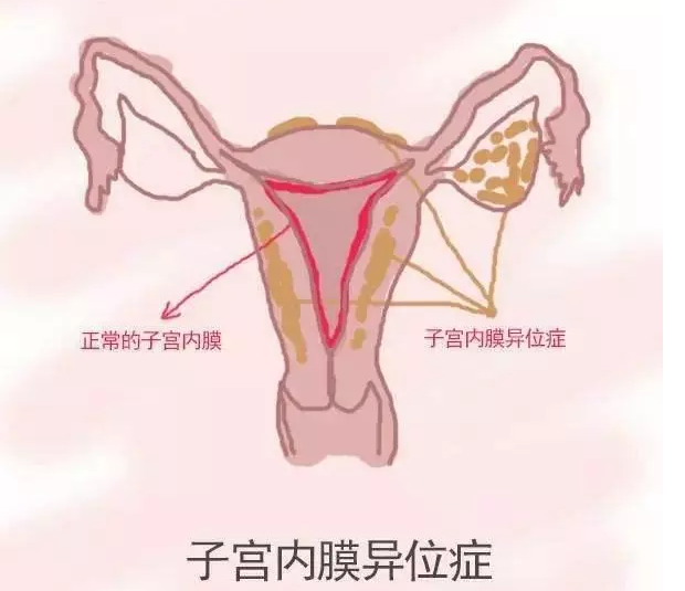 重慶送子鳥醫(yī)院